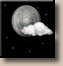 Thursday Night: Mostly Clear
